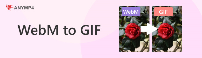 Top 5 GIF to WebM Converters Available to Windows, Mac and Online