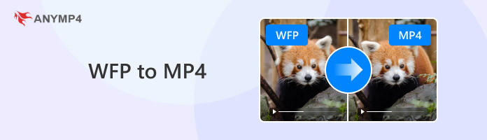 WFP MP4-re