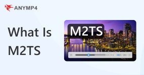 什麼是 M2TS