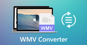 WMV-converter