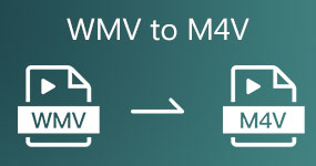 WMV til M4V