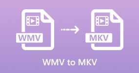 WMV to MKV on Mac Windows