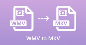 WMV в MKV на Mac Windows