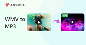 Wmv To Mp3