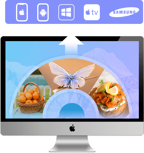 Trastorno La oficina Percepción Mac DVD Converter: convierte DVD en formato MP4, MKV y digital