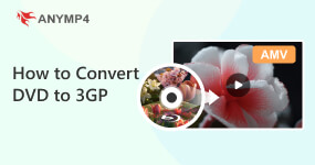 Converteer DVD naar 3GP