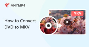 Convert DVD to MKV