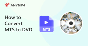 Cómo convertir MTS a DVD