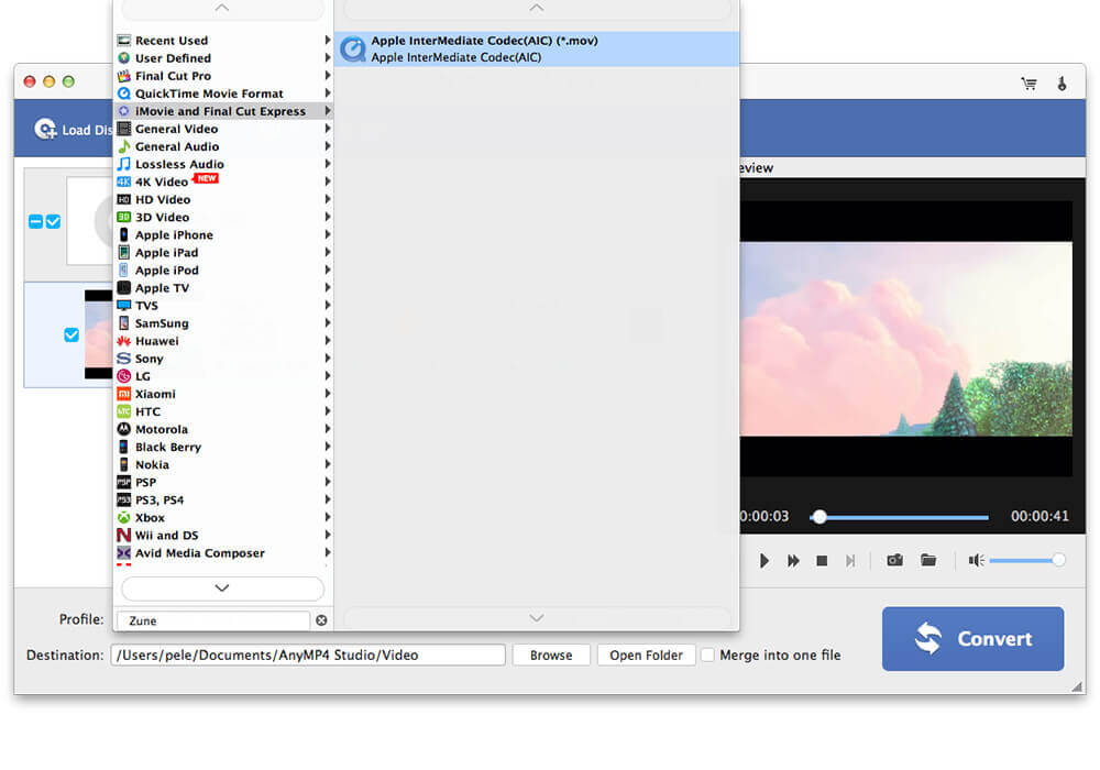 Load dvd and choose output format