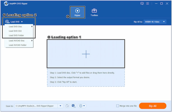 Carica DVD per il ripping FLV