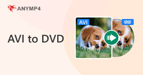 Převést AVI na DVD