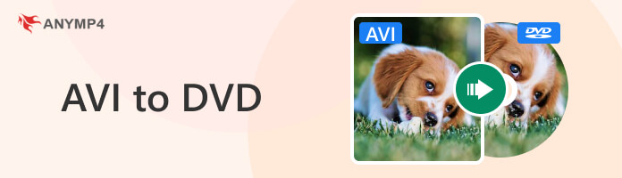 Convert DVD to MKV