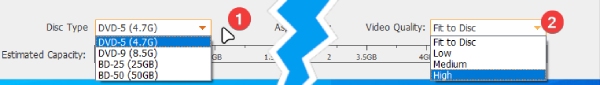 Choose DVD Disc Type and Video Quality