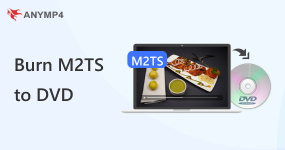 將 M2TS 燒錄到 DVD