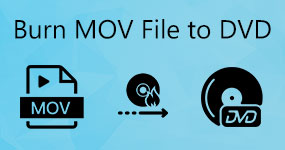 Bränna MOV-filer till DVD