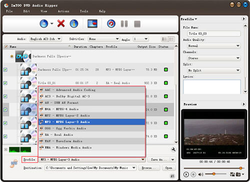 ImTOO DVD till Audio Converter