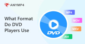 Que formato usam os leitores de DVD?