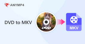 將DVD轉換為MKV