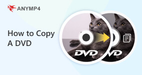 Kopírování disku DVD