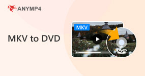 Převodník MKV na DVD