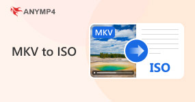 Mkv To Iso