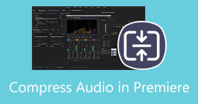 Comprimi l'audio in Premiere