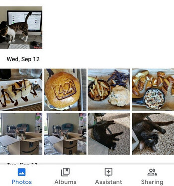 Google-foto's instellen