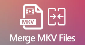 Merge MKV Files