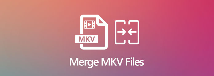 Unisci file MKV