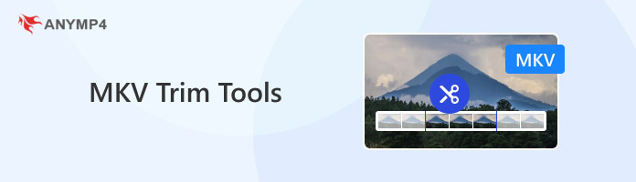 MKV Cutter