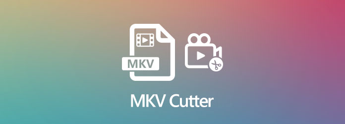 MKV Cutter