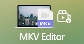 MKV Editor