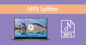 MP3 Splitter