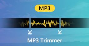 Trimmer MP3