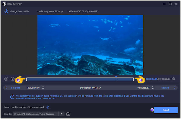 AnyMP4 Video Reverser Export