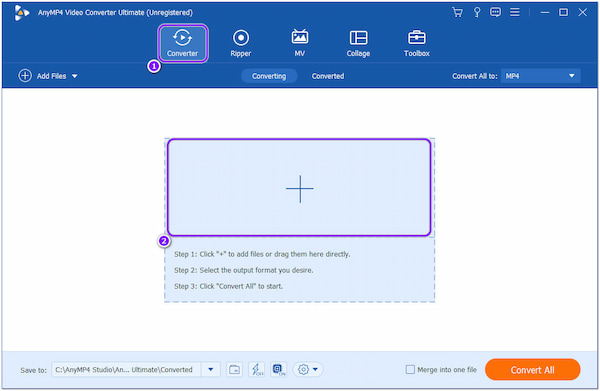 Convertitore AnyMP4 Plus