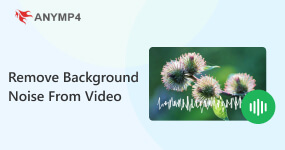 Remove Background Noise from Video
