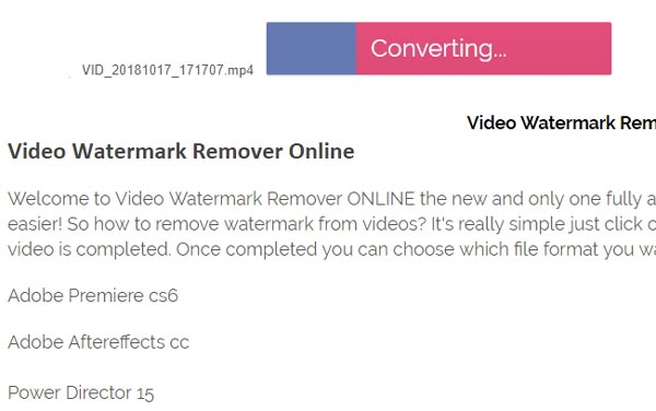 Video Watermark Remover en línea