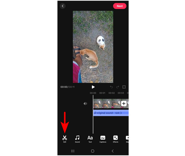 Tiktok Editor Menu