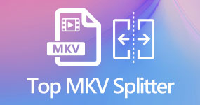 Splitter MKV superiore
