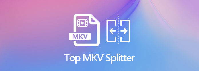 Top MKV-splitter