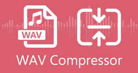 WAV kompresor