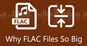 Por que os arquivos FLAC são tão grandes