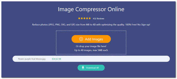 Interface principal de qualidade de imagem inferior AnyMP4