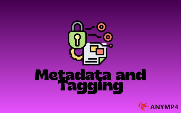 Metadata And Tagging