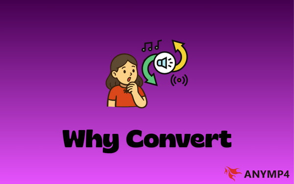 Why Convert Files