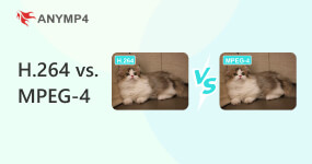 H264 Vs Mpeg4