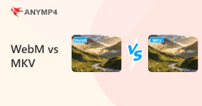 MKV против WebM