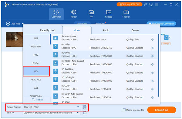 AnyMP4 Video Converter Ultimate Converter Tab