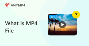 MP4 Format